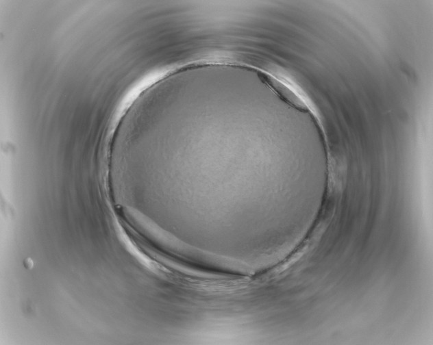 X0000091311437200708101455