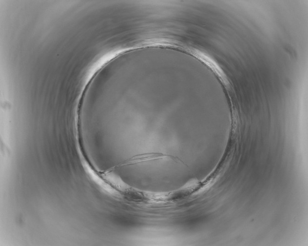X0000091311439200708101455
