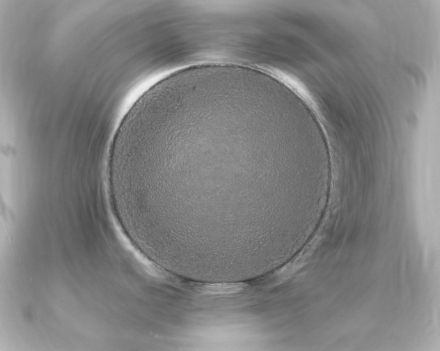 X0000091311440200708101455