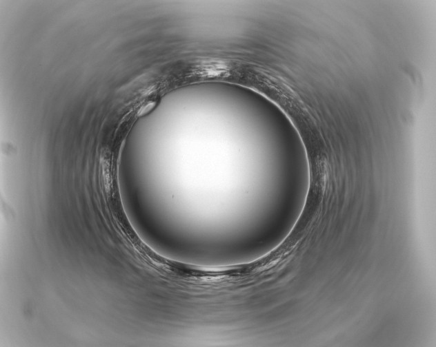 X0000091311442200708101455