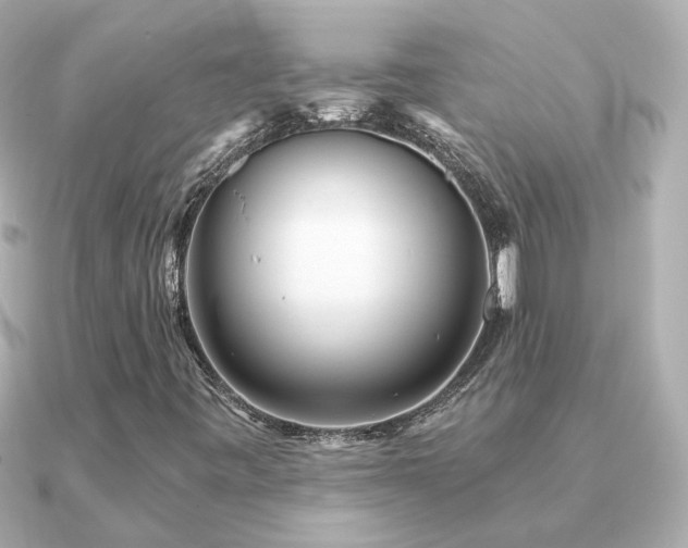 X0000091311443200708101455