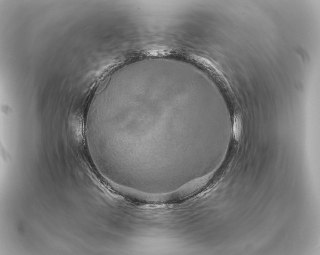 X0000091311444200708101455