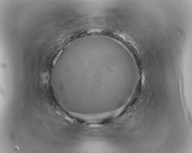 X0000091311445200708101455