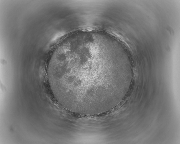X0000091311446200708101455
