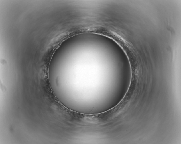 X0000091311447200708101455