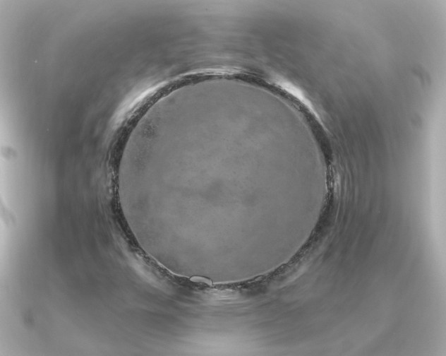 X0000091311448200708101455