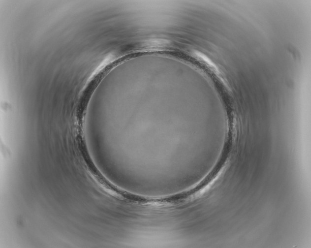 X0000091311449200708101455