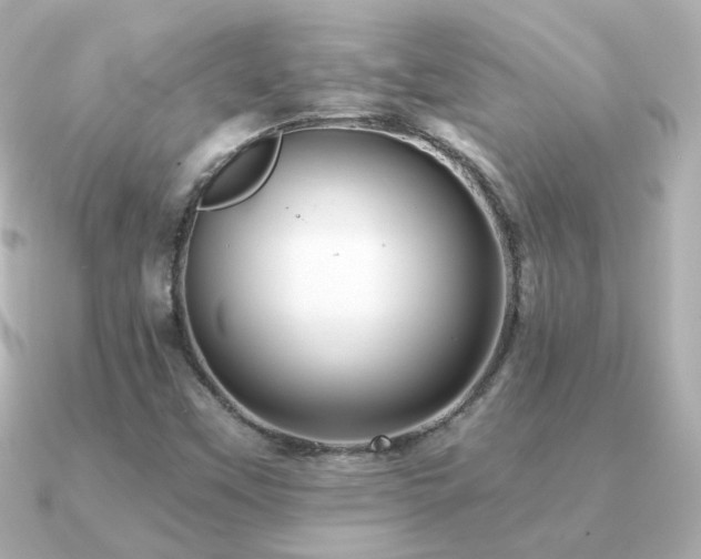 X0000091311451200708101455