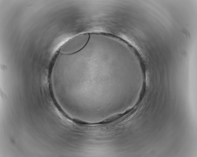 X0000091311452200708101455