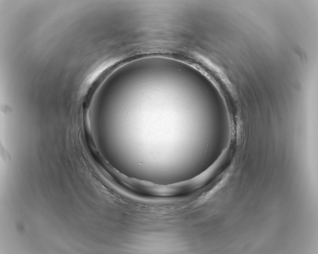 X0000091311453200708101455