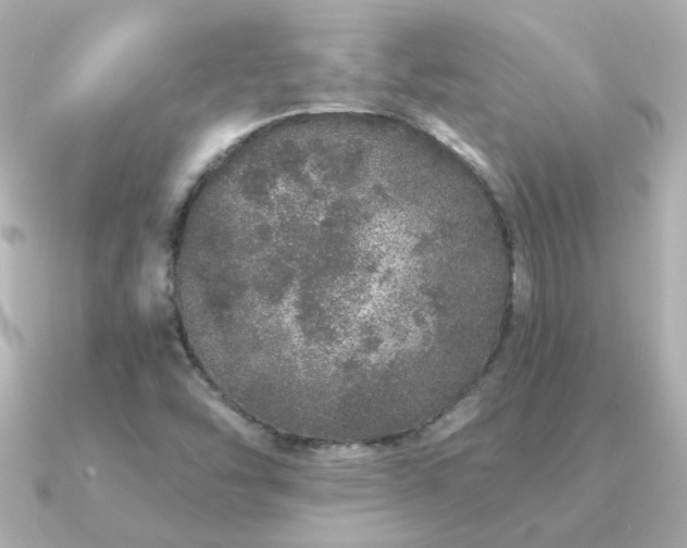 X0000091311454200708101455