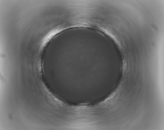 X0000091311455200708101455