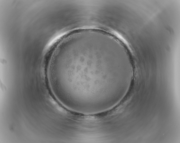 X0000091311456200708101455