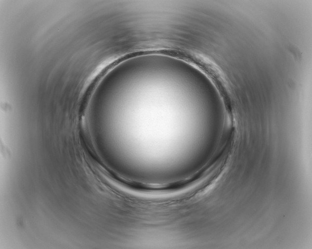 X0000091311457200708101455