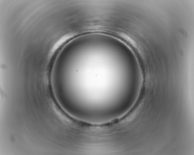 X0000091311458200708101455