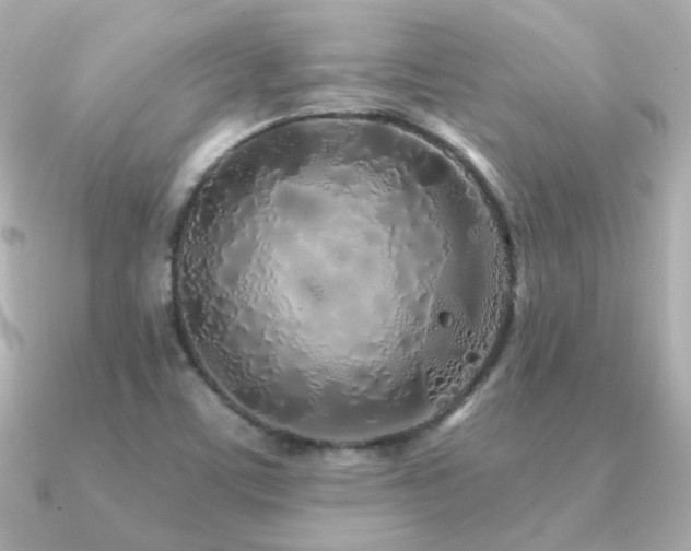 X0000091311459200708101455