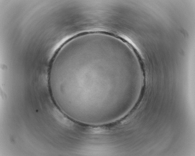 X0000091311460200708101455