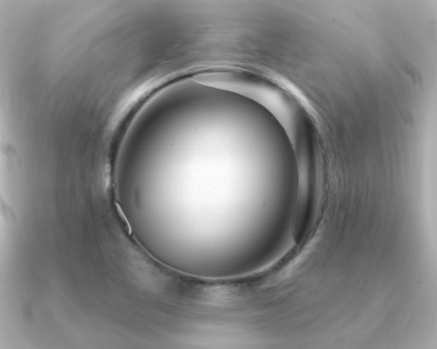 X0000091311461200708101455