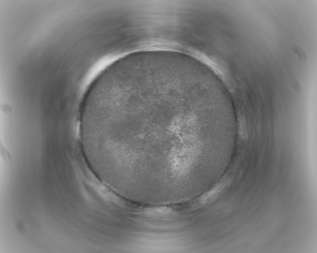 X0000091311462200708101455