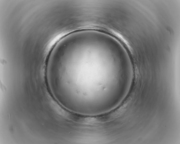 X0000091311463200708101455