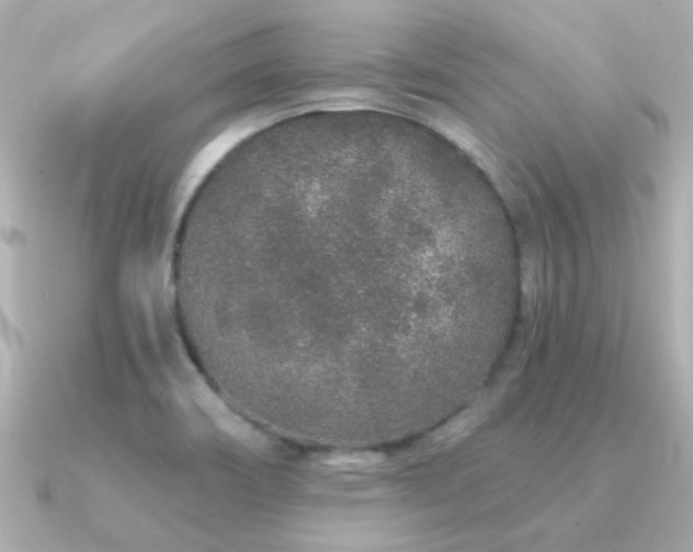 X0000091311466200708101455