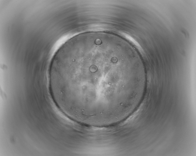 X0000091311467200708101455