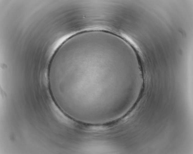 X0000091311468200708101455