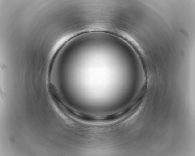 X0000091311469200708101455