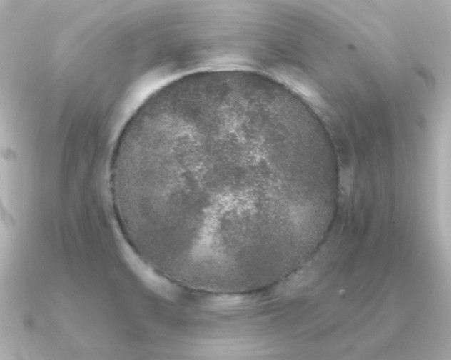 X0000091311470200708101454