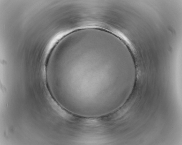 X0000091311472200708101454
