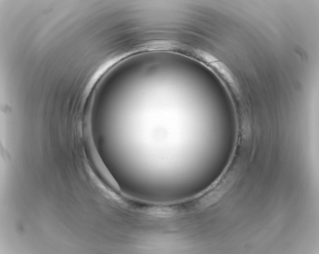X0000091311473200708101454
