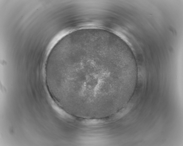 X0000091311474200708101454