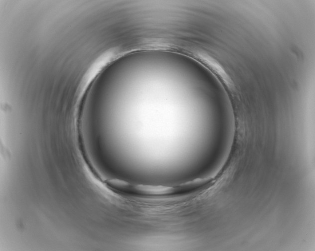 X0000091311475200708101454