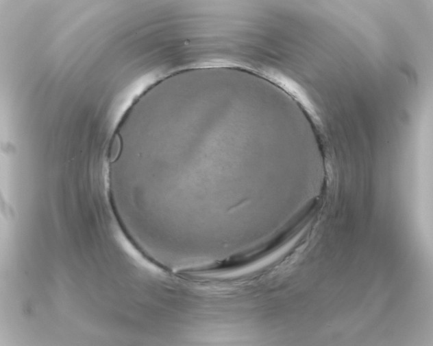 X0000091311476200708101454