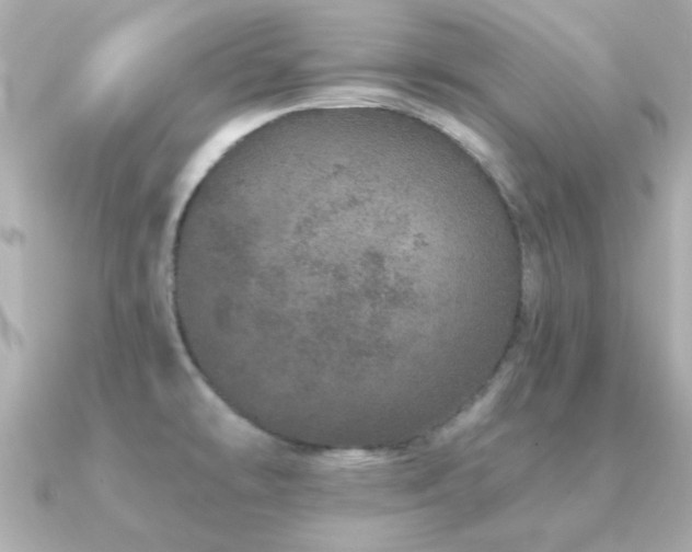 X0000091311478200708101454