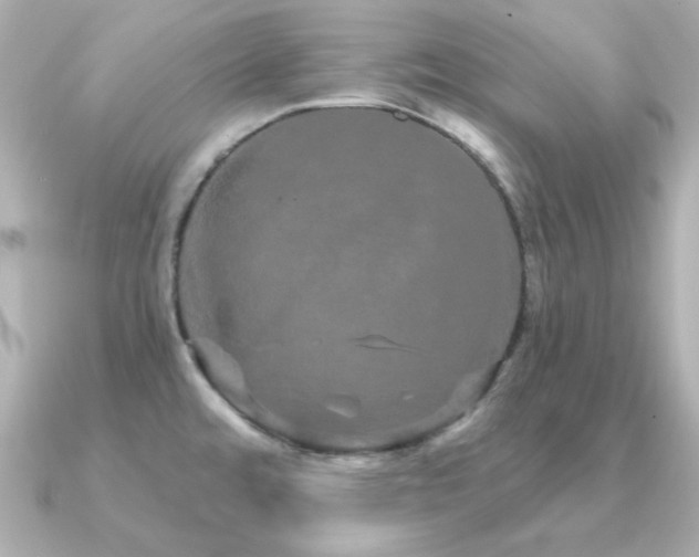 X0000091311480200708101454