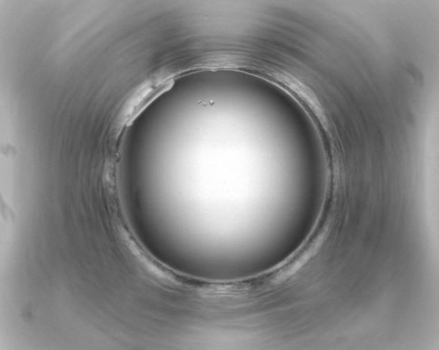 X0000091311481200708101454