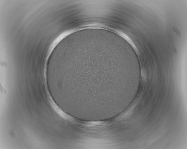 X0000091311482200708101454