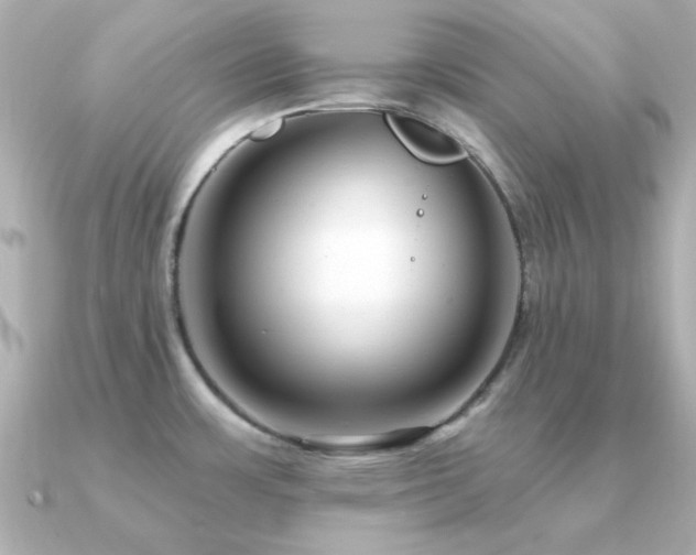 X0000091311483200708101454