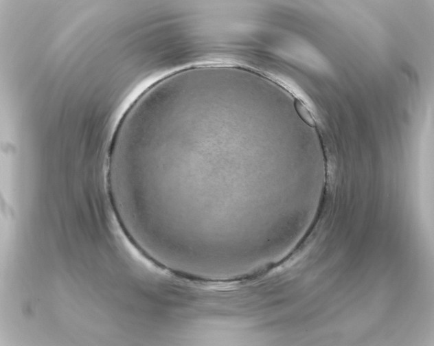 X0000091311484200708101454