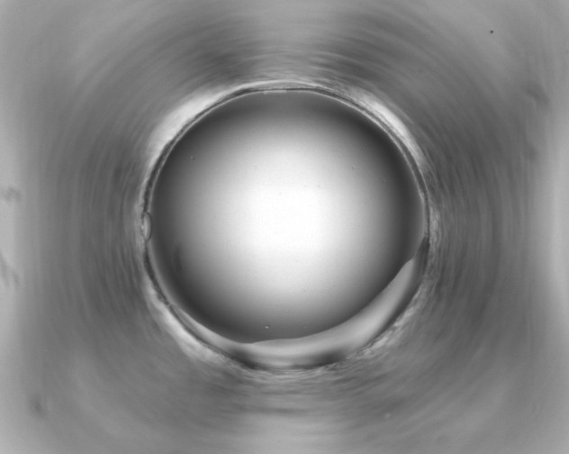 X0000091311485200708101454