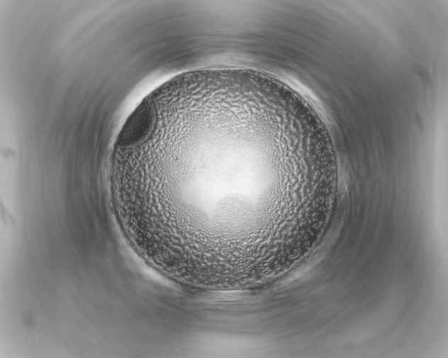 X0000091311486200708101454