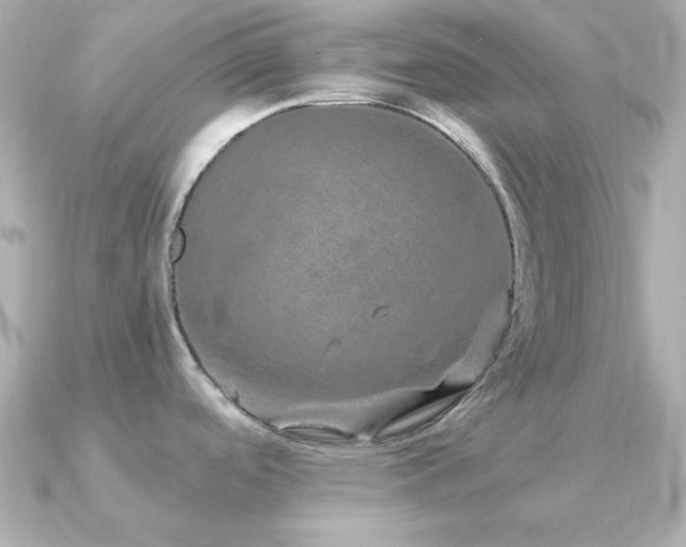 X0000091311488200708101454