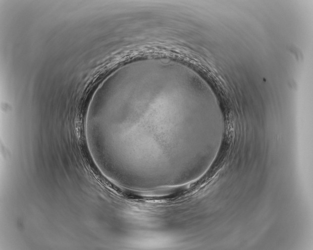 X0000091311490200708101454