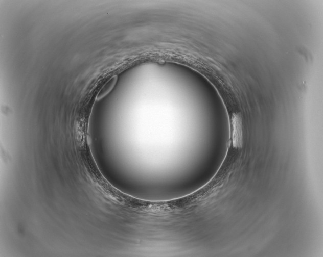 X0000091311491200708101454
