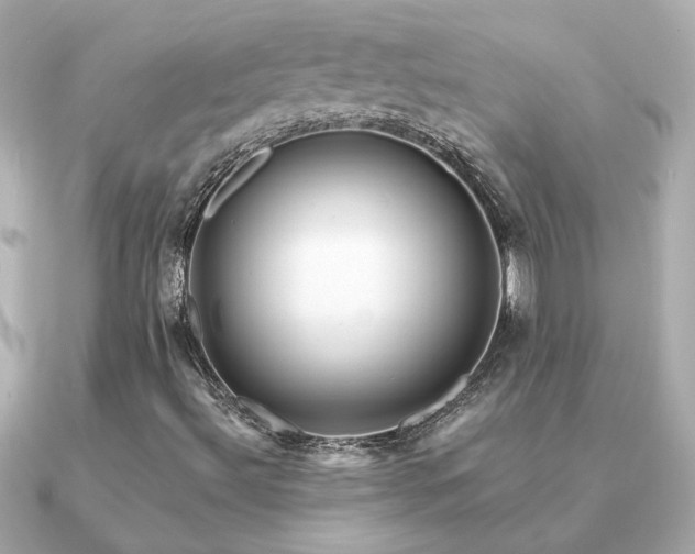 X0000091311492200708101454