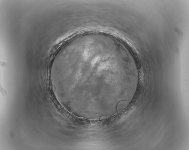 X0000091311494200708101454