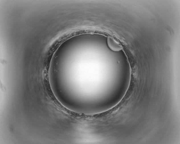 X0000091311495200708101454