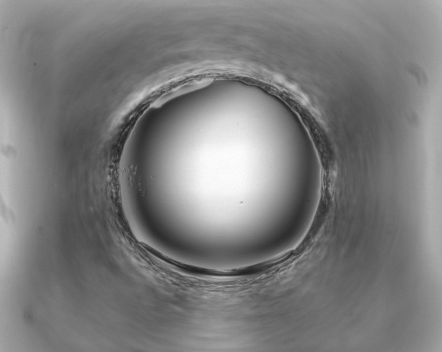 X0000091311496200708101454