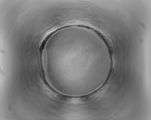 X0000091311497200708101454